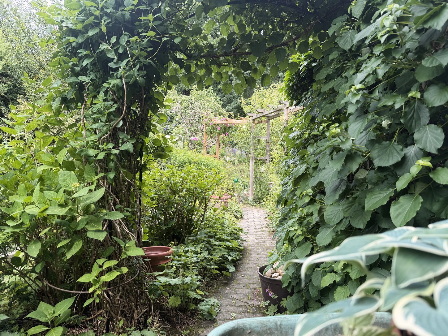 Gartenstufen zwischen Stauden