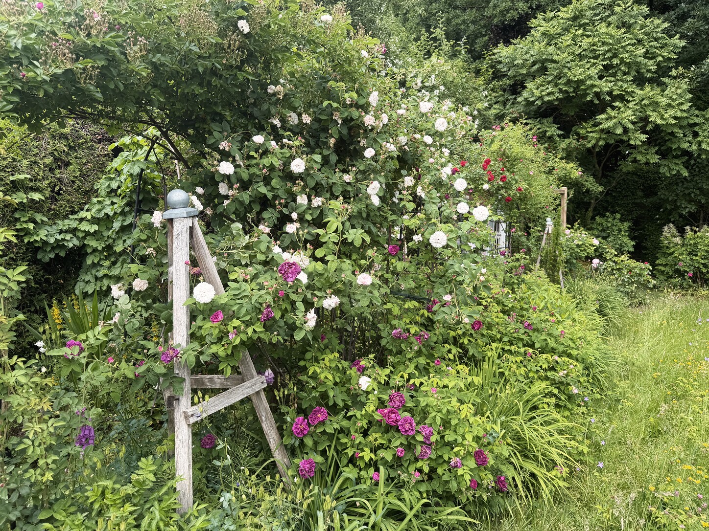 Wilde Wiese mit Liegestuhl als ruhiger Gartenplatz