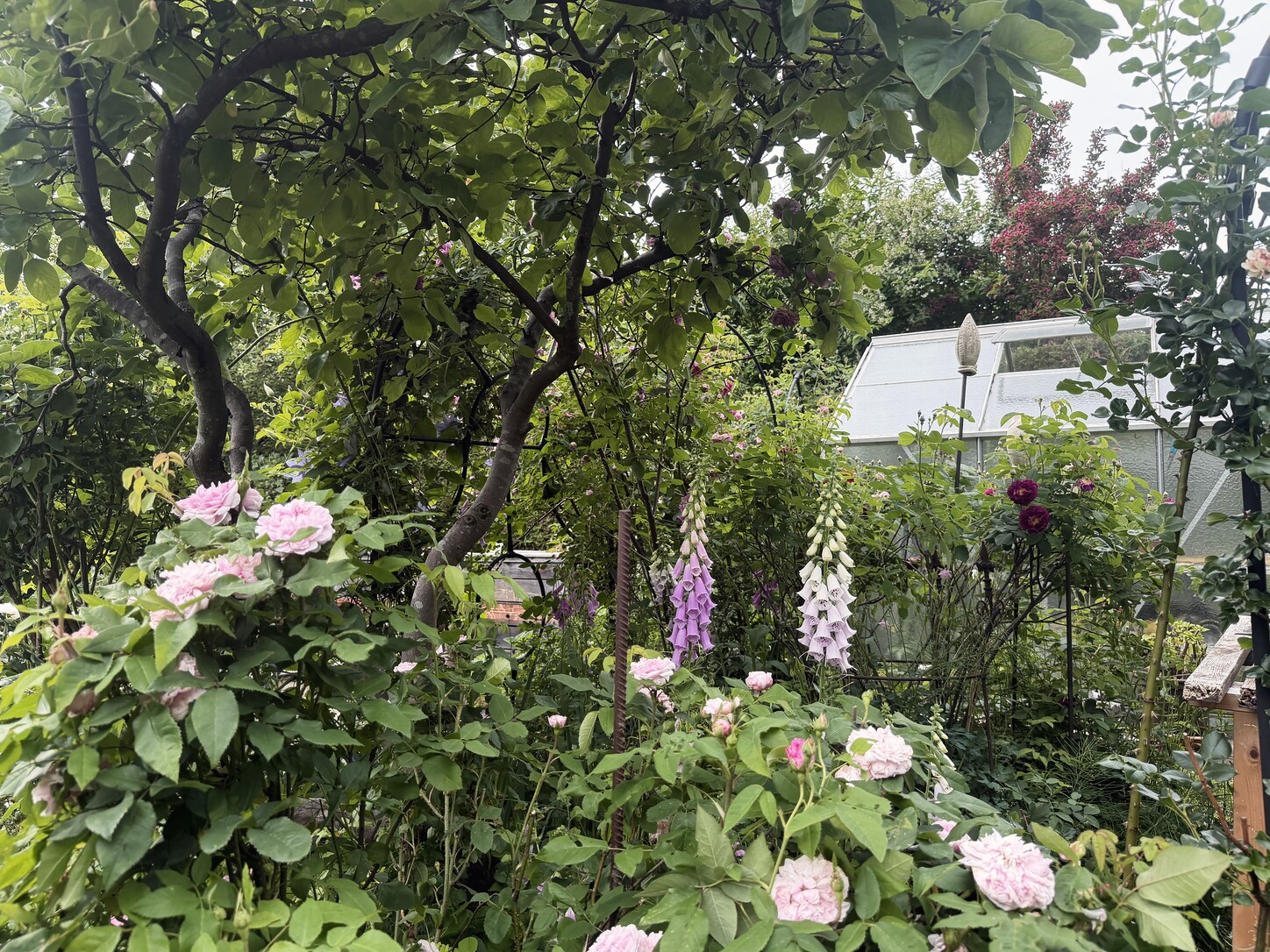 Gartenweg mit Tor