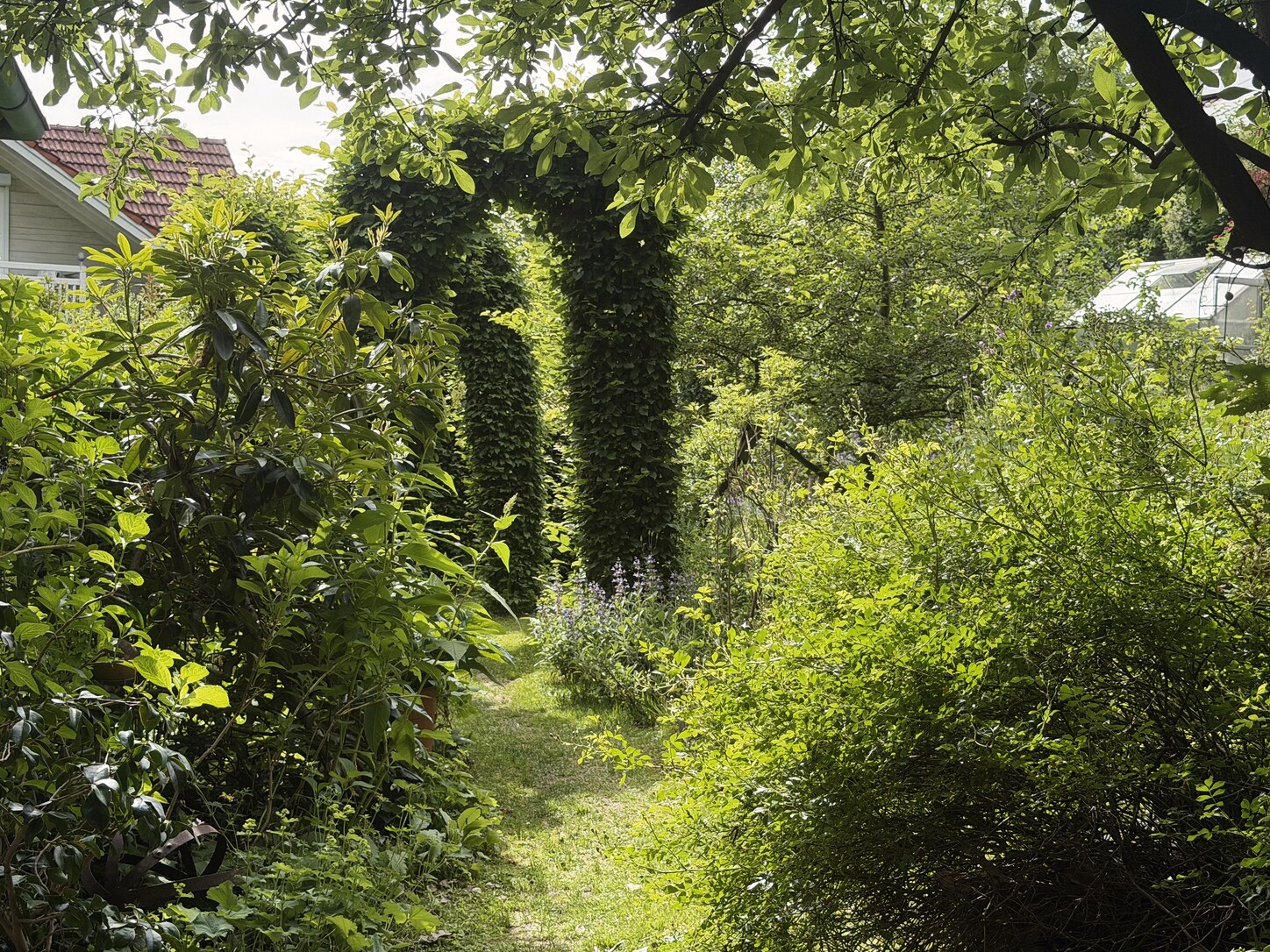 Gartenweg im Sommerlicht