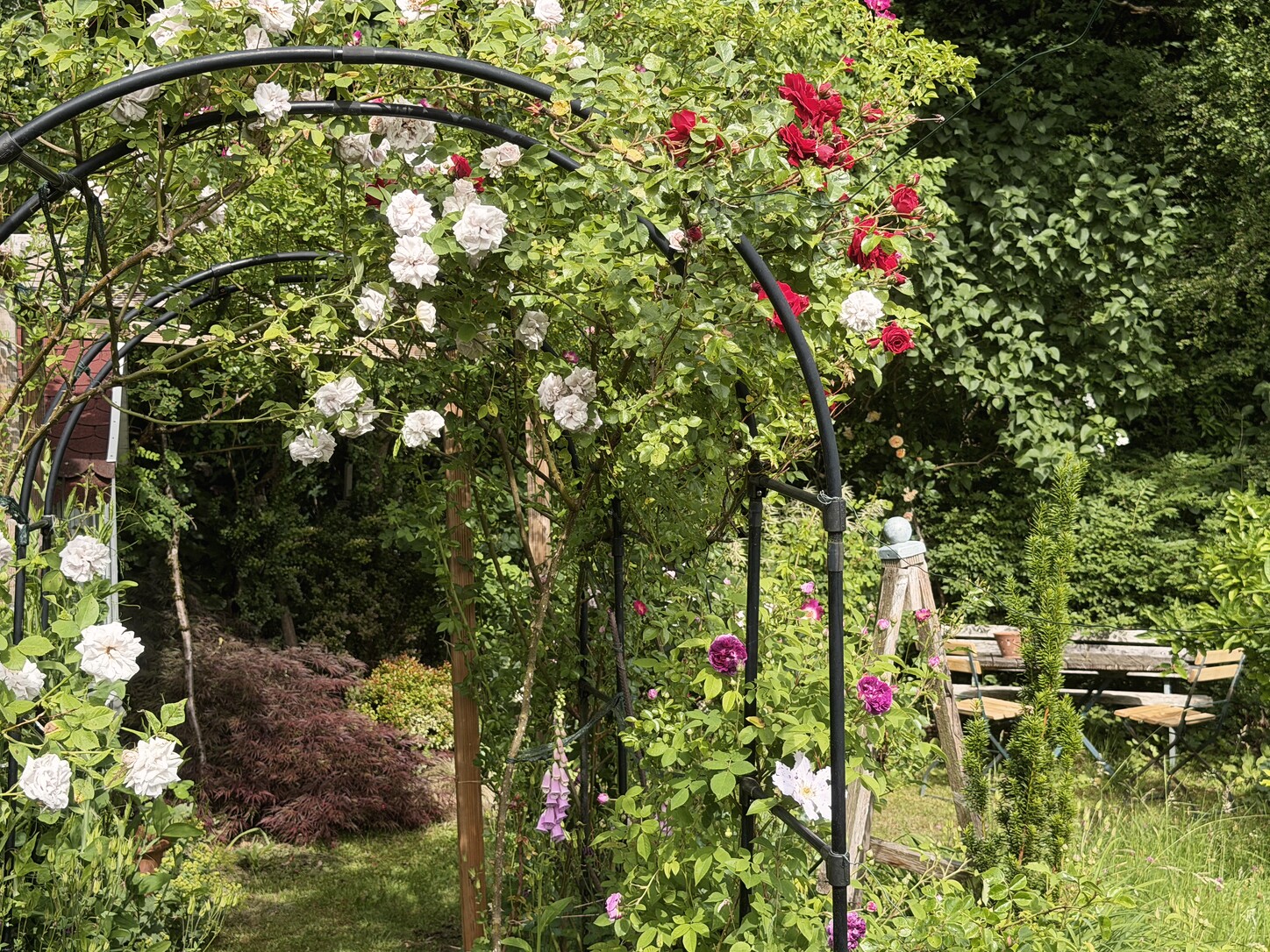 Rosenbogen mit Gartenbank