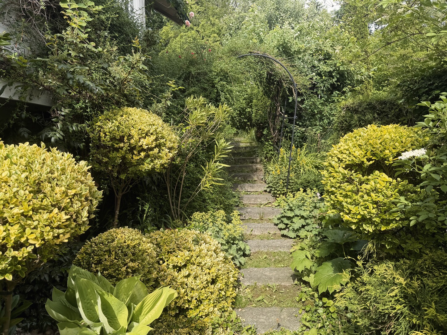 Formaler Stufenweg durch den Garten
